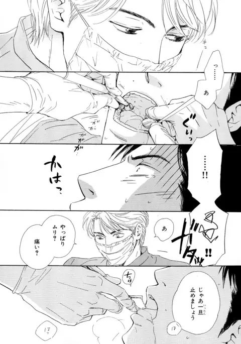 b-BOY Phoenix Vol.11 Shiroisha Tokushuu