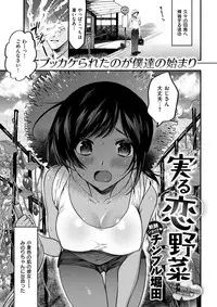 COMIC Shitsurakuten 2017-09 [Digital]