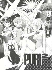 (C43) [Team PRINCESS (Ozuno Mahou)] PURI² (Various)