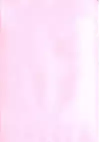 (C73) [Gambler Club (Kousaka Jun)] Mizugi de Punicure (Yes! Precure 5)