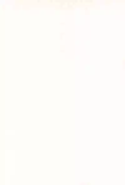 [Log House (Senkan Yamatoni)] Spring is Here (Cardcaptor Sakura)