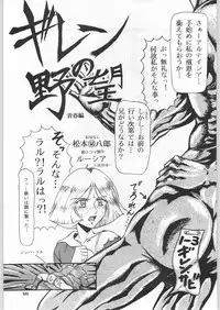 (C59) [Ganso Sonoda Ya (Various)] Chousen Ame Ver.18 Princess