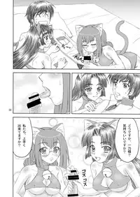 [Yasrin-Do (Yasu Rintarou)] Nyan Nyan * Shao Nyan (Shin Koihime Musou) [Digital]