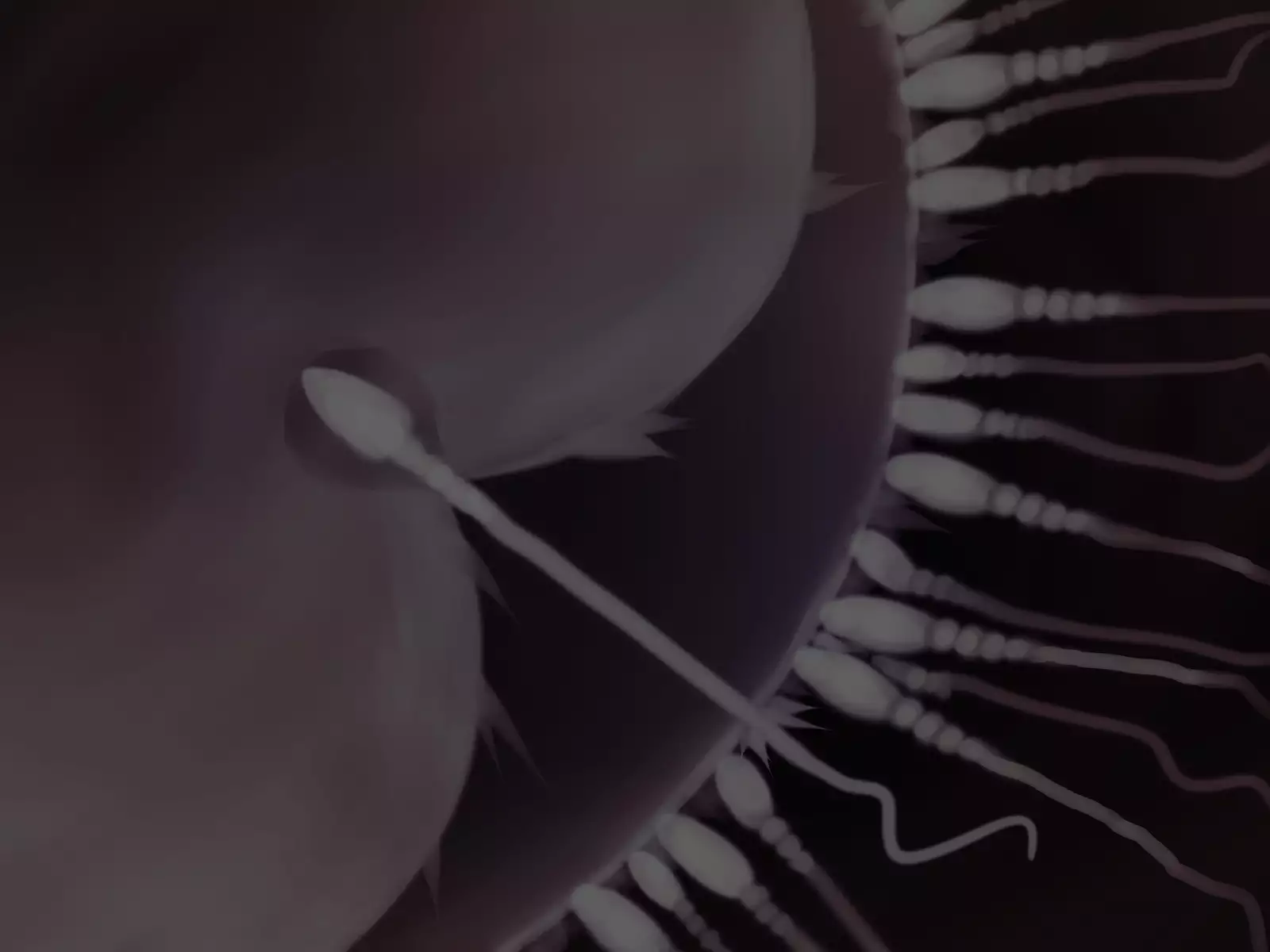 JK o Van de Rachitte Haramase Shuudan Rape