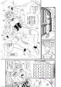 [IRIE YAMAZAKI] Princess File