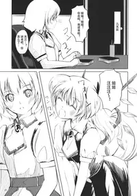 (C79) [telomereNA (Gustav)] Flan-chan Infinity (Touhou Project) [Chinese]