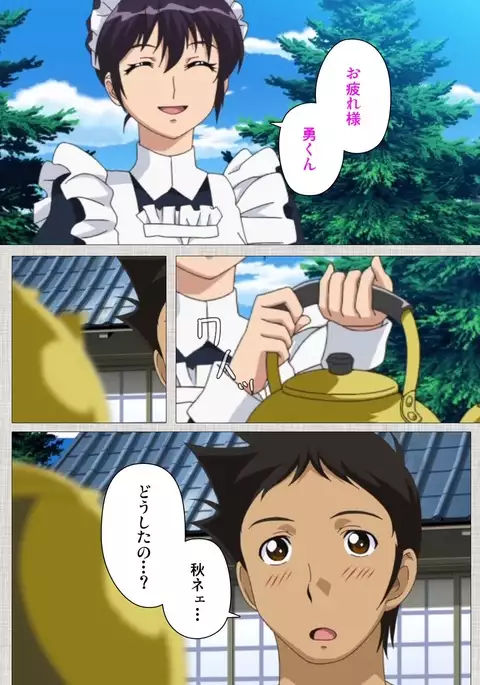 Maid Ane 1-Kame Complete Ban