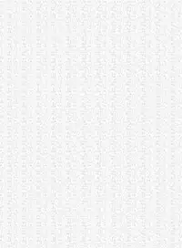 [Ran-ya (Aranmaru)] SECRET EXPERIMENT (Touhou Project) [Chinese] [靴下汉化组] [Digital]