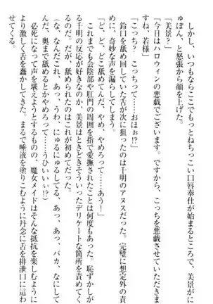年上メイドの新婚日記