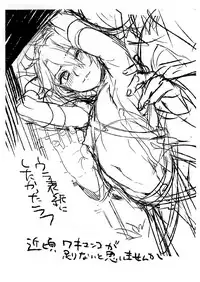 (C91) [Kuromisakaijou (Ikezaki Misa)] Fate/DTorder course:Alexander (Fate/Grand Order) [Chinese] [theoldestcat汉化]