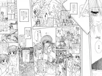 Comic Papipo 2006-09