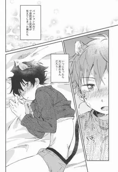 (MIRACLE FESTIV@L!! 18) [Banana Mayonezu (Moritama)] Doubutsu Honnou (THE IDOLM@STER SideM)