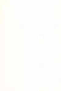 (C64) [Aniki Teikoku (Fey Tas)] L-TYPE (Super Doll Licca-chan)