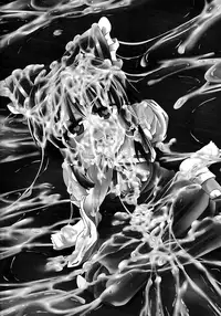 (C84) [Happiness Milk (Obyaa)] Nikuyokugami Gyoushin - I am semen addict - | Faith in the God of Carnal Desire - I Am Semen Addict - (Touhou Project) [English] {Sharpie Translations}