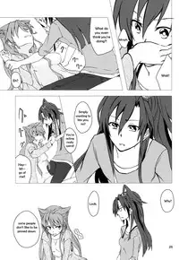 (C85) [HB (Futoo)] Wunsch (Senki Zesshou Symphogear) [English] {Halcyonvalor & Sexy Akiba Detectives}