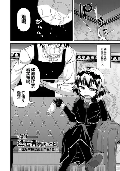 Elisa-sama Goyoujin!!