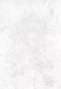 (C56) [Rocket Kyoudai (Rocket Kyoudai)] Ojamajo Paradise! (Various)