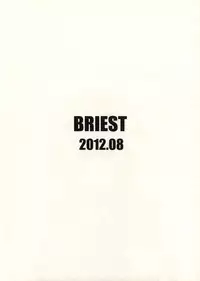 (C82) [BRIEST (Yatsushima Tetsuya)] LMR/15 (Mahou Shoujo Lyrical Nanoha)