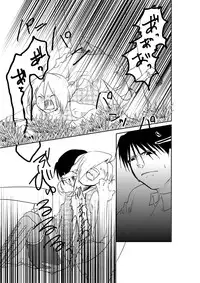 [Kyoka Suigetsu] Rh - no Koi 1 (Fullmetal Alchemist)