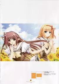 Shuffle! - Visual Fan Book