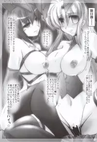 (C79) [WARP Co (45ACP)] Captive Rabbitl (Mahou Shoujo Lyrical Nanoha)