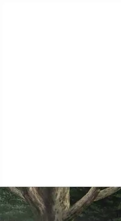 [週五] [龜足] S-Mate 1-94 官方中文（連載中）