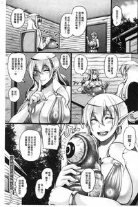 [Kazuhiro] Aijou no Injoku Elf [Chinese]