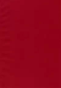 (C77) [Sankaku Apron (Sanbun Kyoden, Umu Rahi)] Akebi no Mi - Satomi AFTER [English] [Brolen]