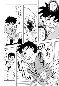 [Chirigami Goya / Fusuma Goten] Y (Dragonball)