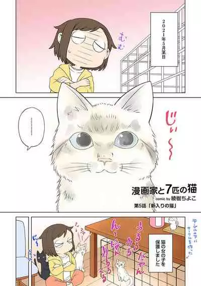 COMIC Ananga Ranga Vol. 73