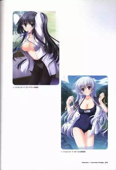 Tasogare no Sinsemilla Official Visual Fan book