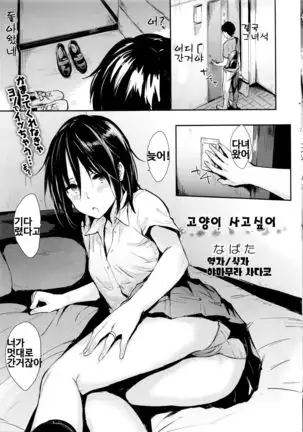 Neko Kaitai | 고양이 사고싶어