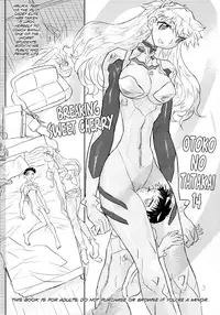 (C80) [Ito Ichizo Shouten (Ito Ichizo)] Otoko no Tatakai 14 - Breaking Sweet Cherry (Neon Genesis Evangelion) [English]
