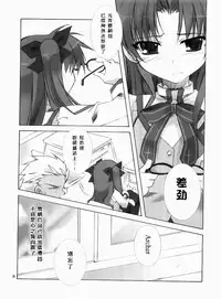 (C66) [Tekitou Kaijuu, Hikami Oukoku (Aoizumi Rio, Minazuki Haruka)] seducer (Fate/stay night) [Chinese]