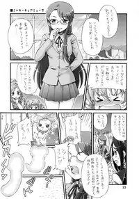 (C82) [Oboro & Tempo Gensui Dou (Tempo Gensui)] Pretty Futacure Sex!! (Precure)