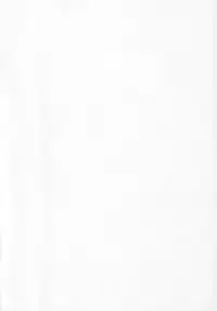 [Paradise City] nanami no kodomo nya te wo dasuna (original)