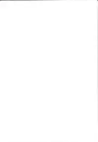 (C93) [Obumanjuu (obmas)] Oni no Sumu Ie Ni [Chinese] [胸垫汉化组]