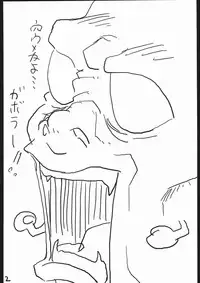 (C67) [Z-TABUKURONEKO HOUSE (Gyonikun)] Ninpou Ranchiki Sawagi! (2x2=Shinobuden)