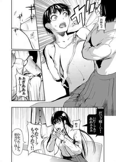 Kamen no Carnation 3