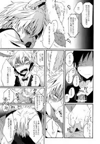 (CCOsaka79) [Zerohaku (Fuji Mako)] BUKURO No Shizuusagi (Durarara!!)