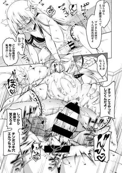 Koukotsu no Kishi Elfina Kouki na Elf Kishi ga Ochiru made~