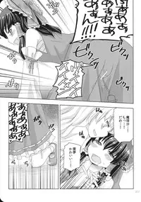 (KoiMari3) [Marireimari Inochi (Various)] Reverse (Touhou Project)