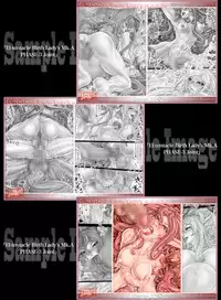 [Kouka Ryouhei (Yanagi Kyouei)] El-tentacle Birth Lady’s Mk.B ex.other [Digital]