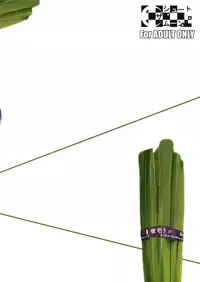 (C80) [Shoot The Moon (Fuetakishi)] Fukuyama-san 3 Daifunka