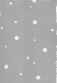 [Pon Takahanada] Hotaru no Sumu Kawa