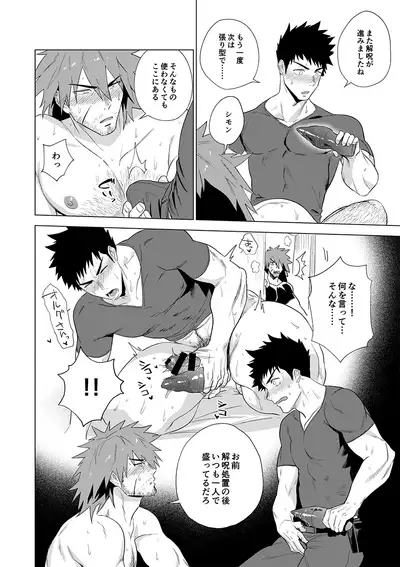 Boukensha wa Norowarete Shimatta!