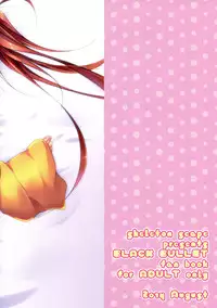 (C86) [skeleton scape (Mikami Sunasara)] little rabbit 2 (Black Bullet) [Chinese] [leoR8714個人漢化]