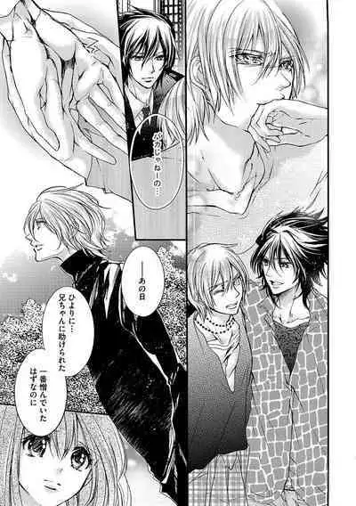 鬼畜兄弟の悶絶調教～私はいいなり奴隷～