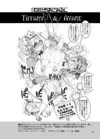 (C66) [Arsenothelus (Rebis)] TGWOA | The Great Work of Alchemy Vol.16 (Street Fighter, Yumeria)