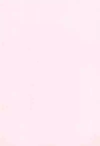 (SC15) [Bakuretsu Nekomusume (Mizunoe Asuka)] China Kiss (Cardcaptor Sakura)